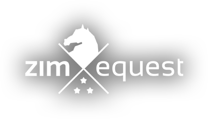 Zimequest