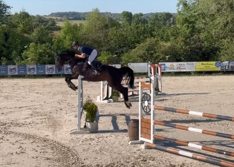 Ivabella ZIMEQUEST, jument pleine d’énergie, est à vendre