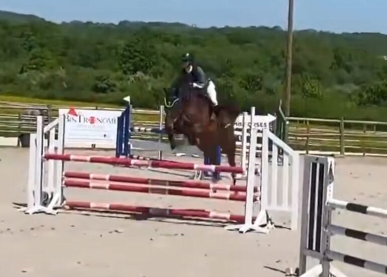 Estoril de l’écurie ZIMEQUEST bien en forme