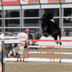 Cancio ZIMEQUEST à Jump'Est (Rosières-aux-Salines)